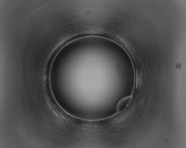 X0000091730435200708241416