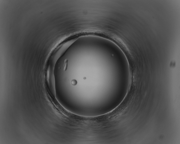 X0000091730436200708241416