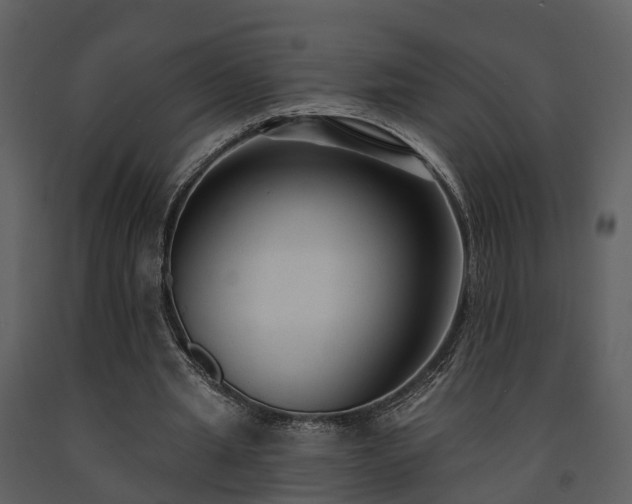 X0000091730437200708241416