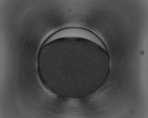 X0000091730438200708241416
