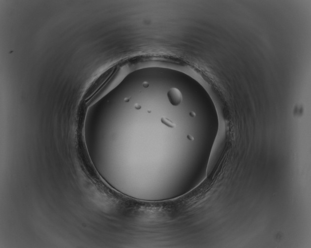 X0000091730440200708241416