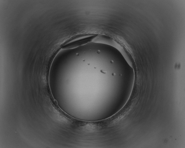 X0000091730441200708241416