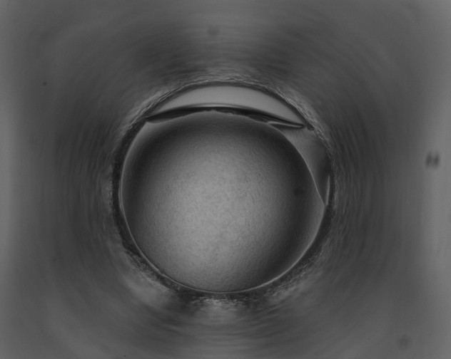 X0000091730442200708241416