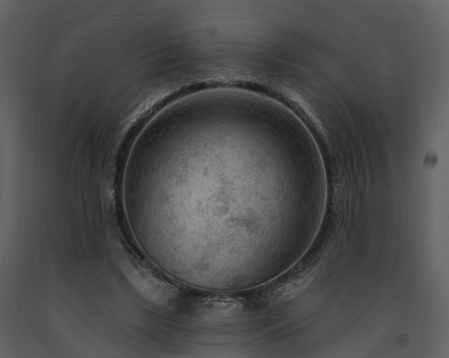 X0000091730443200708241416