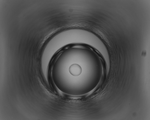 X0000091730444200708241416
