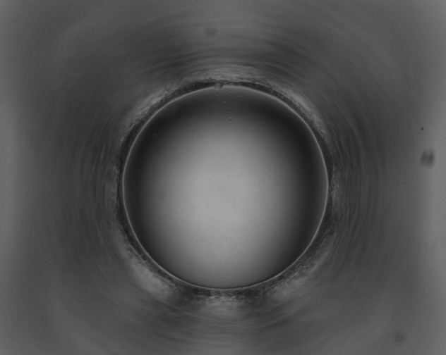 X0000091730445200708241417