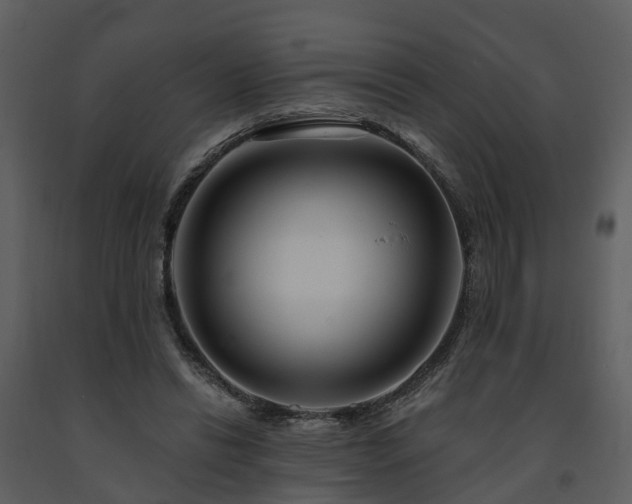 X0000091730446200708241417