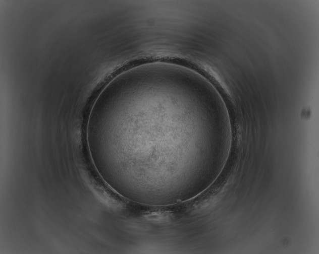 X0000091730447200708241417