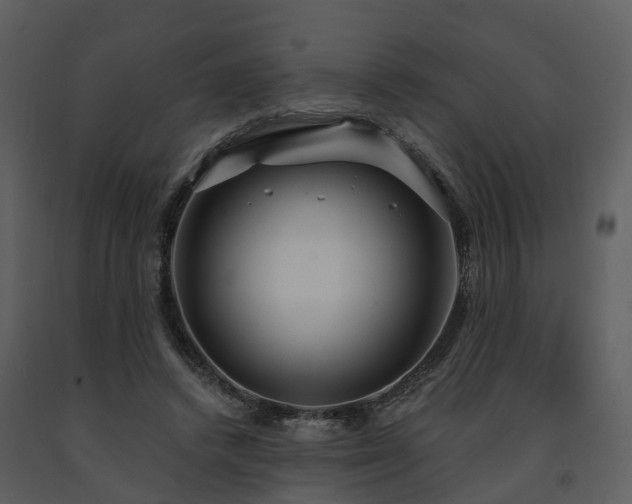 X0000091730448200708241417