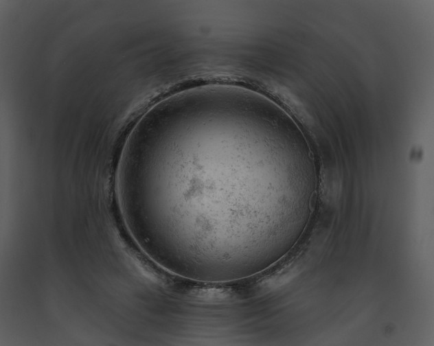 X0000091730449200708241417