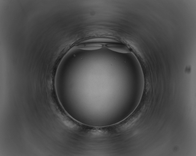 X0000091730453200708241417
