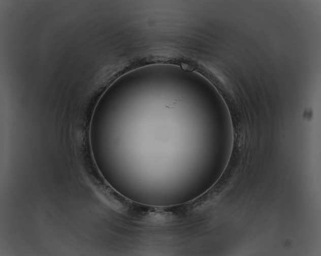 X0000091730455200708241417