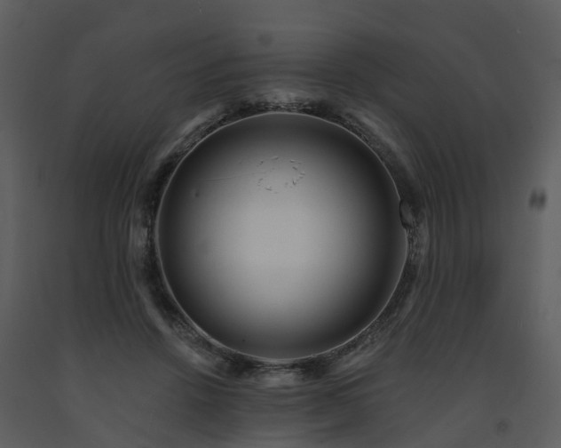 X0000091730456200708241417