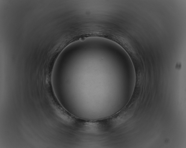X0000091730457200708241417