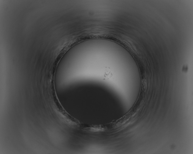 X0000091730458200708241417
