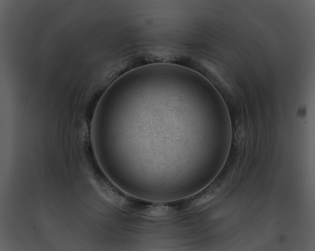 X0000091730459200708241417