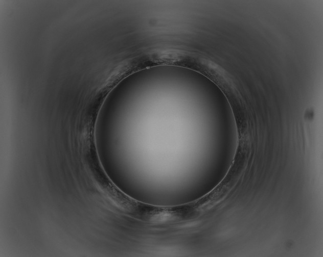 X0000091730460200708241417