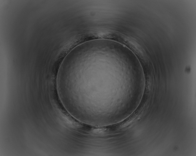 X0000091730461200708241417
