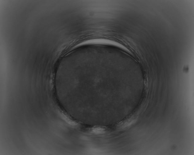 X0000091730462200708241417