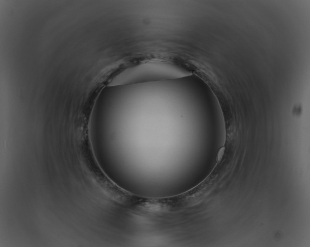 X0000091730464200708241417