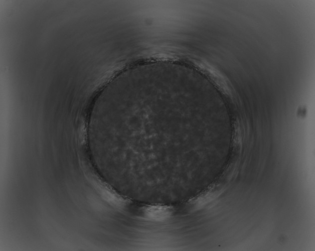 X0000091730465200708241417