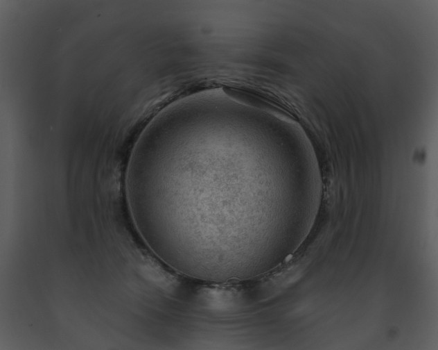 X0000091730466200708241417