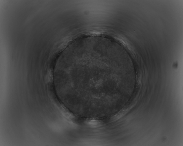 X0000091730467200708241417