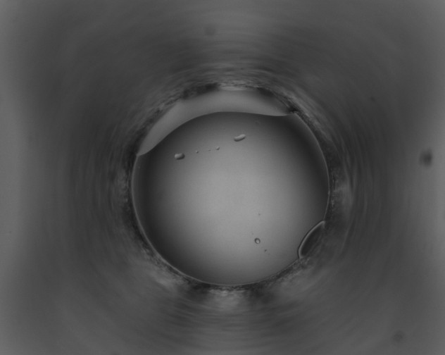 X0000091730469200708241417