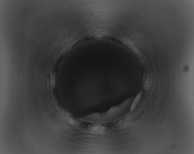 X0000091730471200708241417