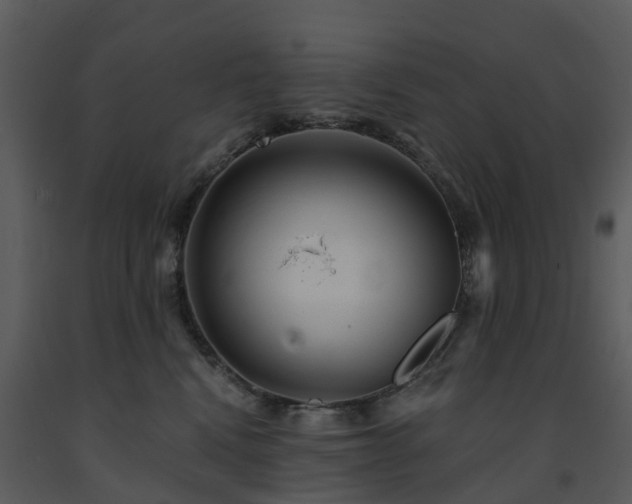 X0000091730472200708241417