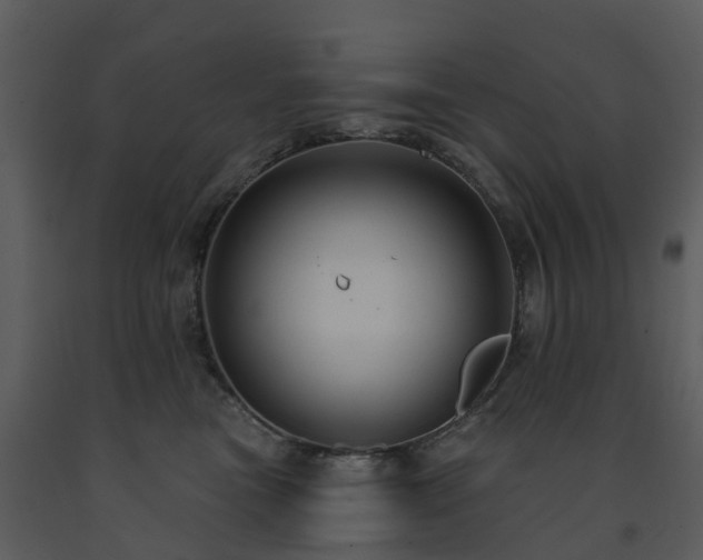 X0000091730473200708241417