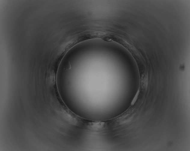X0000091730474200708241417