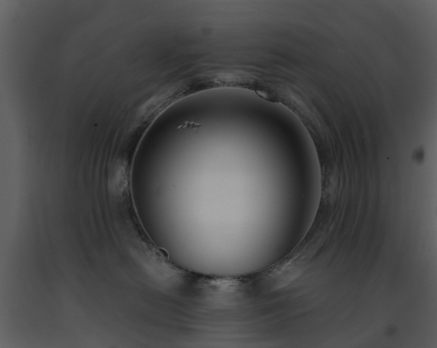 X0000091730478200708241417