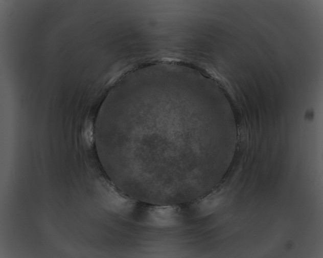 X0000091730479200708241417