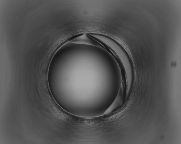 X0000091730481200708241416
