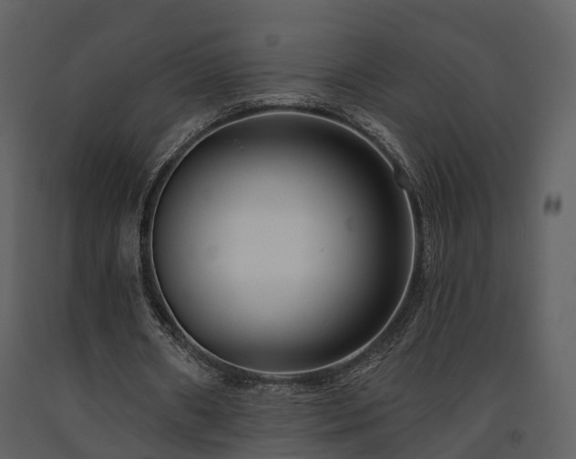 X0000091730482200708241416