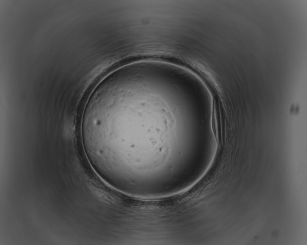 X0000091730483200708241416