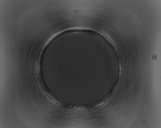 X0000091730484200708241416