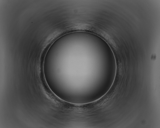 X0000091730486200708241416