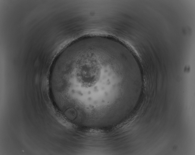 X0000091730487200708241416