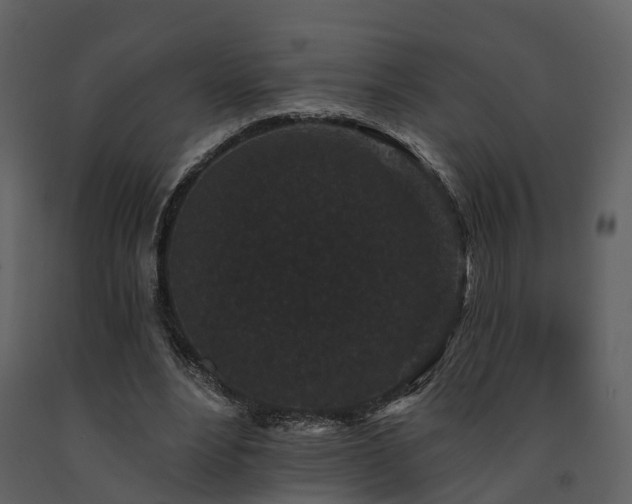 X0000091730488200708241416