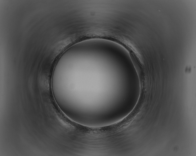 X0000091730489200708241416