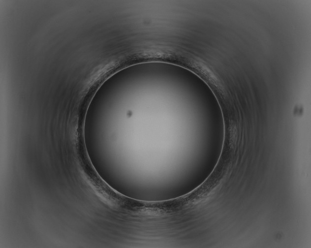 X0000091730490200708241416
