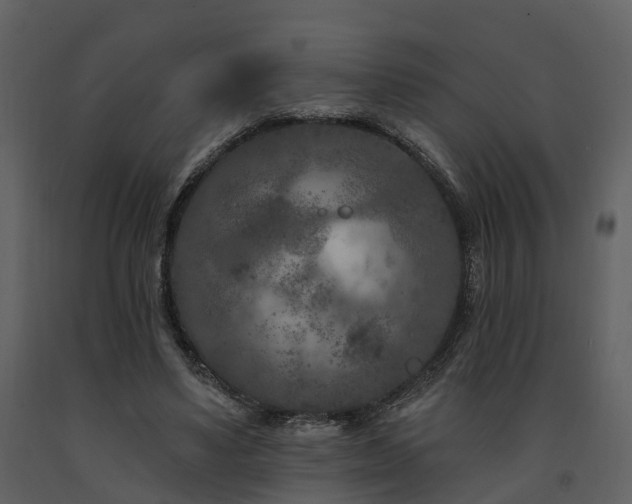 X0000091730491200708241416