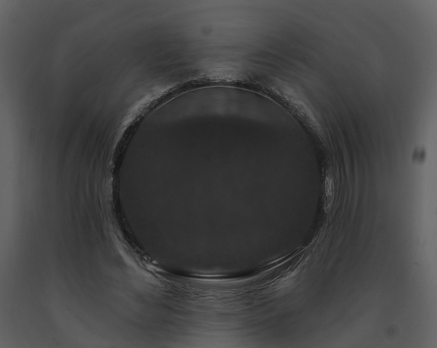X0000091730492200708241416