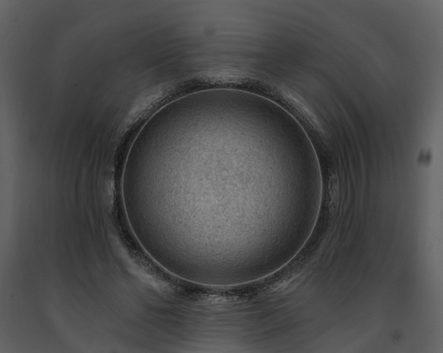 X0000091730494200708241416