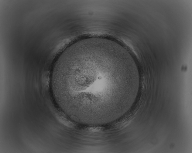 X0000091730495200708241416