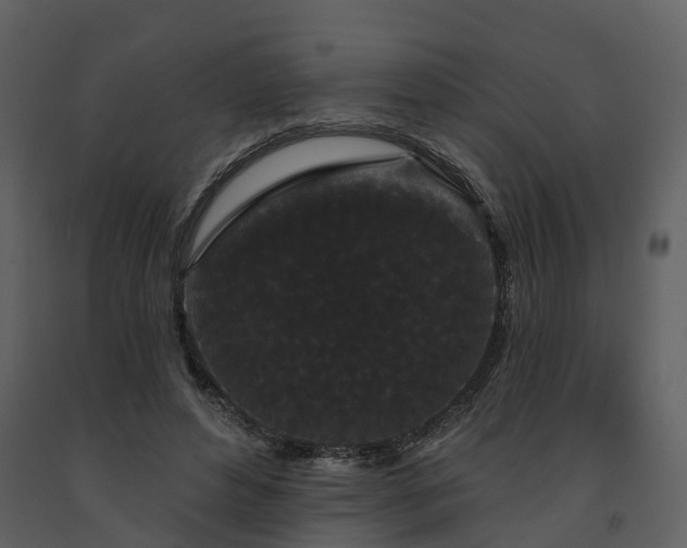 X0000091730496200708241416