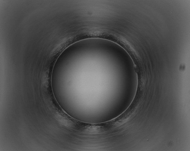 X0000091730497200708241416