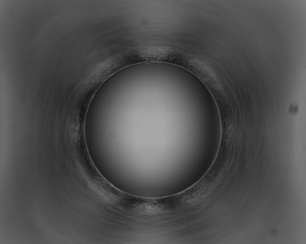 X0000091730498200708241416